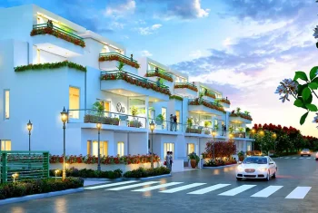 Blf Central Park Floors