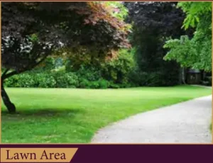 Lawn Area
