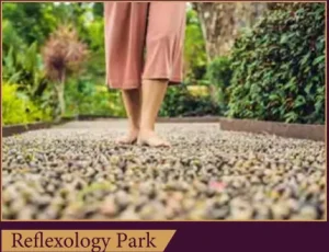 Screenshot 2026-02-05 111210